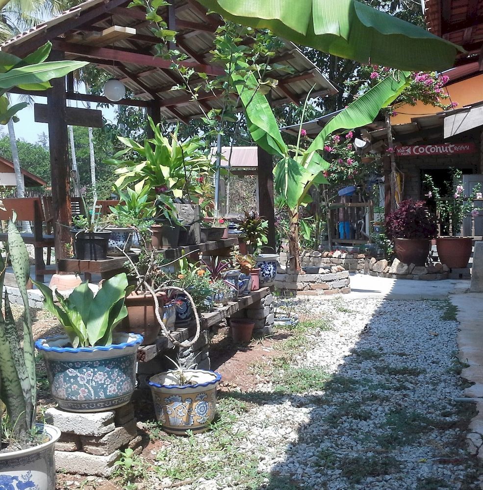 The Coconut Langkawi Penginapan