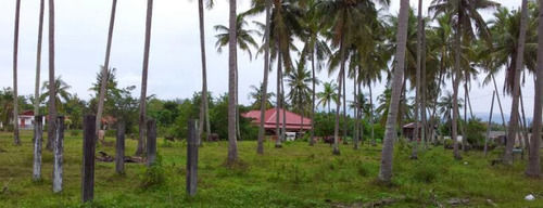 Inn The Coconut Langkawi
